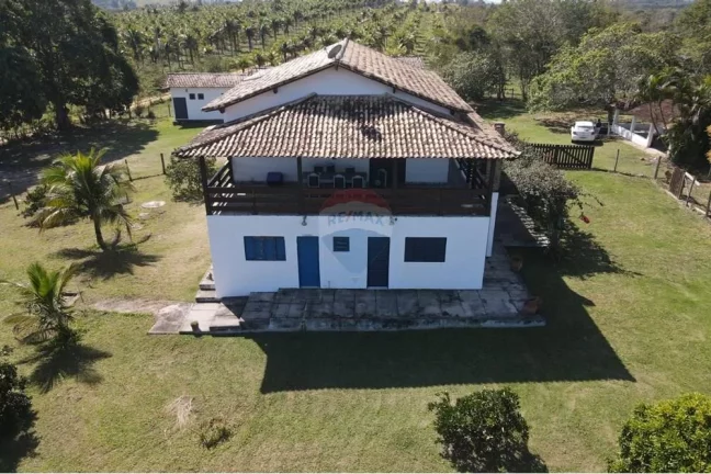 Imagem Sítio Fantástico com produção de Limão