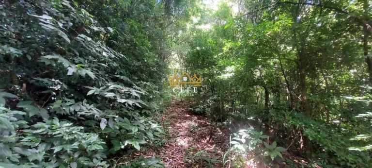 Imagem Chácara - Sítio com 2 Dormitorio(s) localizado(a) no bairro Carapina em São Francisco de Paula / RIO GRANDE DO SUL Ref.:1537