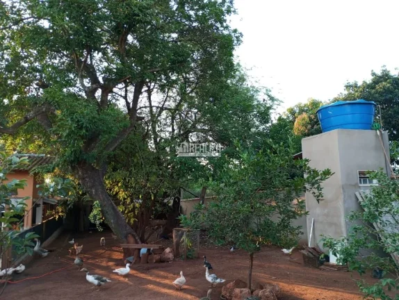 Imagem Casa à venda na Vila Elza, Aramina: 3 dormitórios e suíte!