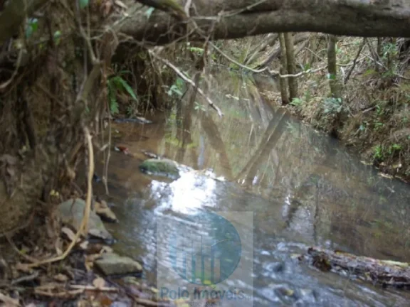 Imagem SÍTIO 3,30 ALQUEIRES PAULISTA, IDEAL PARA MILHO E SOJA - JACUÍ - MG