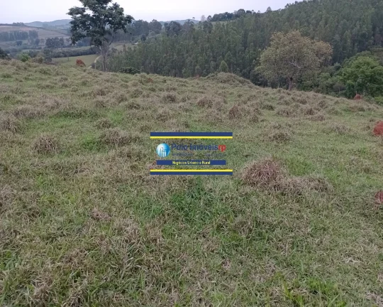 Imagem Sítio 14,5 alqueires para gado, milho, soja em Jacuí Sul de Minas Gerais - possui casa, energia e água.