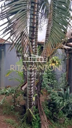 Imagem Casa - Ribeirão Preto - Léo Gomes de Moraes