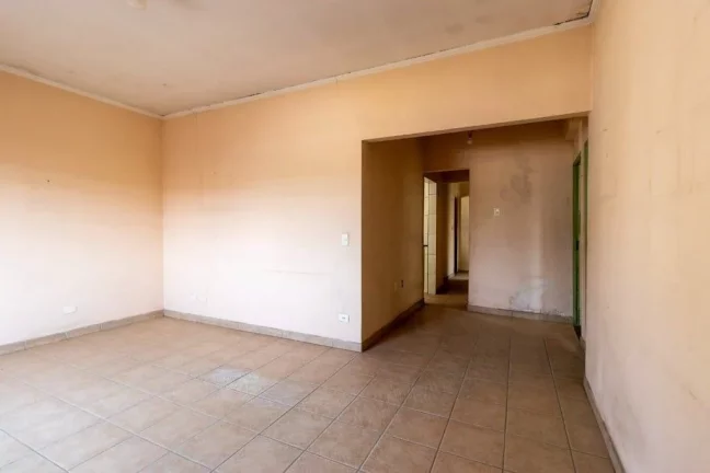 Imagem VDEG 116 Lote theremaxcollection-QYA3T