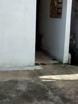 Imagem Armazém á venda na Vila Libanesa