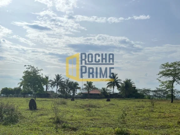 Imagem CHACARA RURAL em ILHA SOLTEIRA - SP, Zona Rural