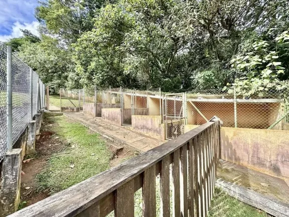 Imagem Chácara 4.900 m², Km 29 Rap. Tavares