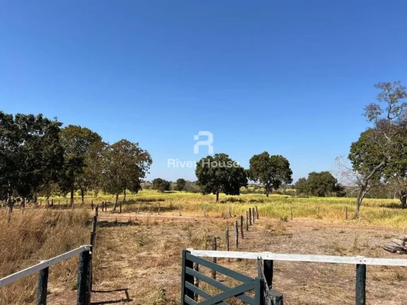 Imagem Fazenda 109 Hectares à venda para Pecuaria Localizada a BR 070 Zona Rural deacesso a , Cáceres, MT