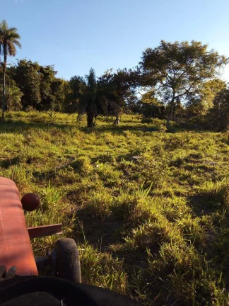 Imagem Fazenda à Venda em Faina - 237 Alqueires de Oportunidade!