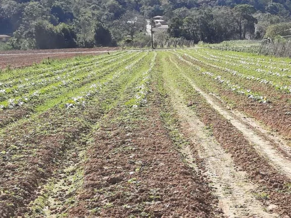 Imagem Terreno à Venda, Plano, Nível da Rua, com 11.089 m2. Sul do Rio, Santo Amaro da Imperatriz, SC