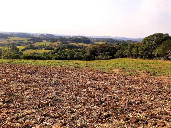 Imagem OPORTUNIDADE ÚNICA!!! 12 Hectares, Linha Doutor Flores, Sertão Santana