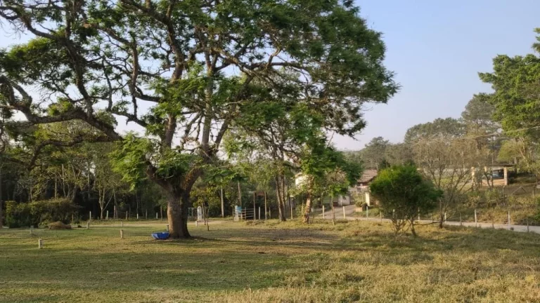 Imagem Chácara com 4 dormitórios à venda, 40000 m² por R$ 1.250.000,00 - Quinta Divisão - Suzano/SP
