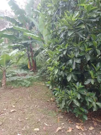 Imagem VENDE-SE CHÁCARA EM FRANCISCO MORATO - SP