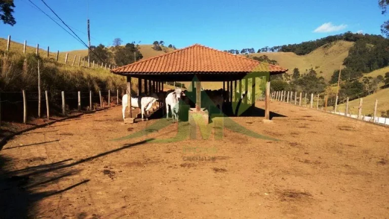 Imagem FAZENDA GADO NELORE COM 100 ALQUEIRES em Cambui MG