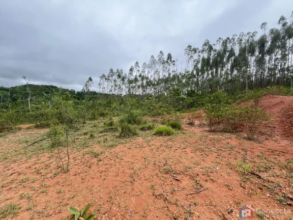 Imagem Terreno Rural com Nascente e Energia a 4 km da Ponte do Arco