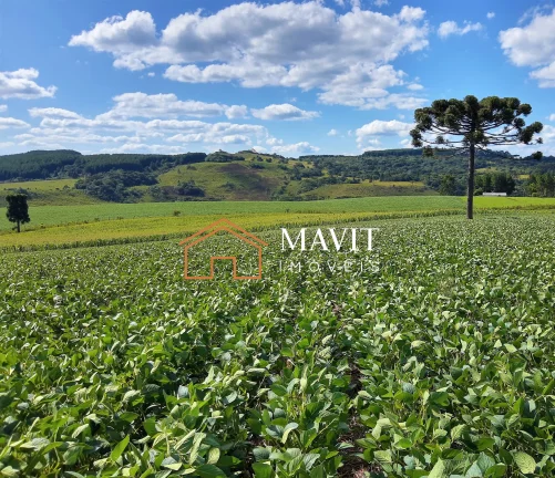 SITIO RURAL em CAPÃO ALTO - SC, Capão Alto