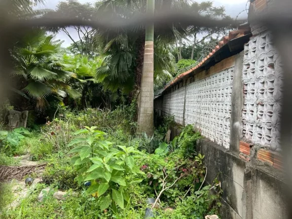 Imagem Terreno, 492 m² - venda por R$ 1.500.000,00 ou aluguel por R$ 6.098,47/mês - Vila Maria de Maggi - Suzano/SP