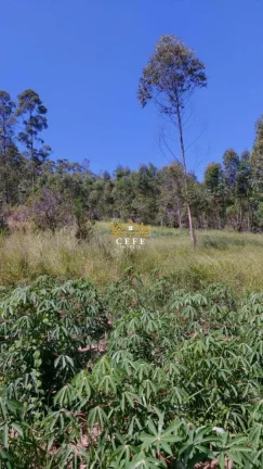 Imagem Chácara - Sítio com 1 Dormitorio(s) localizado(a) no bairro Zona Rural em Araricá / RIO GRANDE DO SUL Ref.:1585