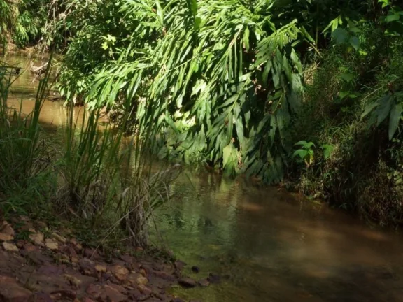 Imagem SÍTIO À VENDA 43,56 HECTARES R$ 1.900.000 - ZONA RURAL - JACUI/MG