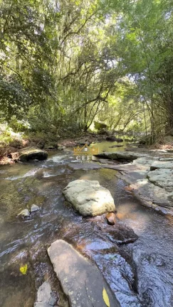 Imagem Chácara - Sítio com 2 Dormitorio(s) localizado(a) no bairro São Jacó em Nova Petrópolis / RIO GRANDE DO SUL Ref.:1511