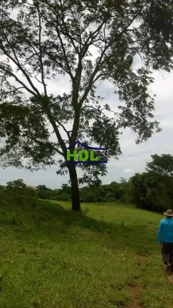 Imagem FAZENDA 38,5 ALQS TRIPLA APTIDÃO MUITA ÁGUA EM PIRACANJUBA - GO.