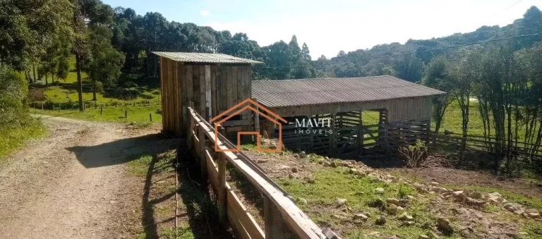 Imagem CHACARA RURAL em ANITA GARIBALDI - SC, Interior