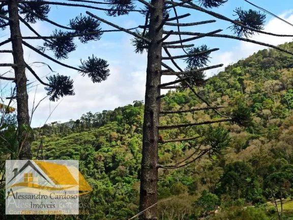 Imagem Vendo área rural com 20 mil mts², boa topografia com nascente.