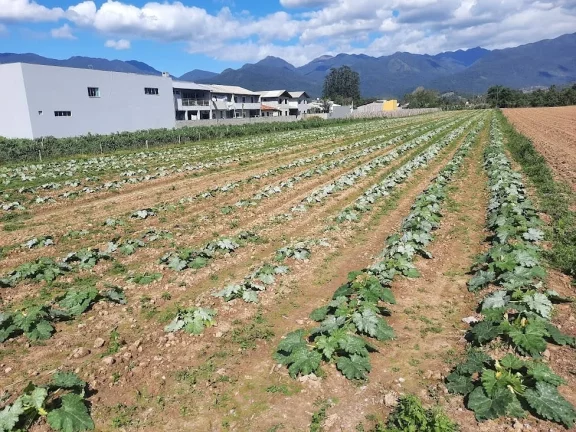 Imagem Terreno à Venda, Plano, Nível da Rua, com 11.089 m2. Sul do Rio, Santo Amaro da Imperatriz, SC