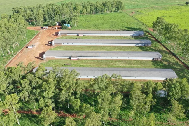 Imagem FAZENDA COM GRANJA DE FRANGOS DE CORTES EM MUTUM MATO GROSSO