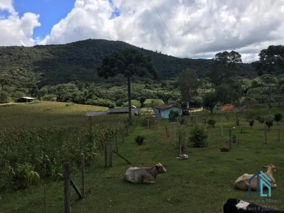 Imagem Chácara a venda, com 02 excelente Barracões novos, em Mandirituba/Tijucas do Sul PR