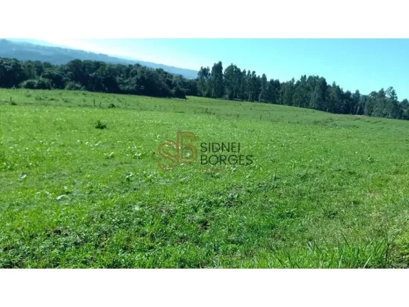 Imagem Sítio CONCÓRDIA - SC
