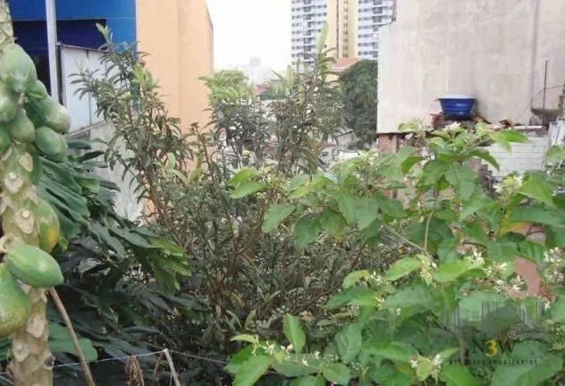 Imagem Terreno à venda, 300 m² por R$ 3.200.000,00 - Alta da Lapa - São Paulo/SP