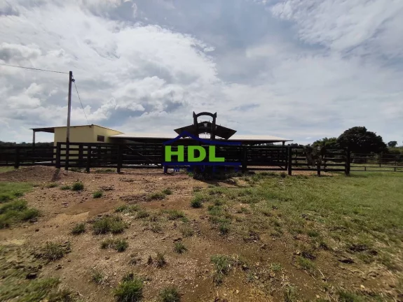 Imagem Chácara com 5 alqs Rica em Água 115 kms de Goiânia