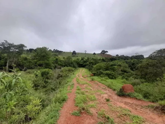 Imagem Fazenda à venda em Antônio Carlos, 540ha