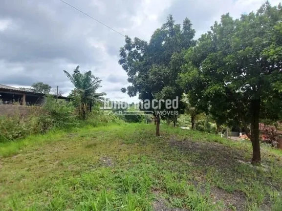 Imagem Terreno com Vista Espetacular para a Natureza – Ideal para Construir, com Topografia Levemente Inclinada e Área Verde Exuberante! Oportunidade Única!