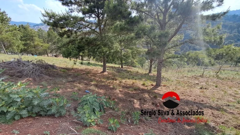 Imagem Terreno a Venda na Região do Atalaia em Campos do Jordão -SP.