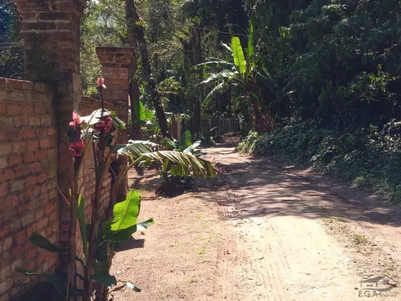 Imagem Olha essa linda oportunidade no sertão do cambury já 100 metros do calçamento