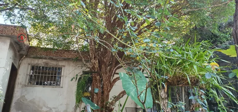 Imagem CASA ASSOBRADADA A VENDA NA VILA PRUDENTE, A 800 METRO DO METRÔ. 3 DORMITÓRIOS E EDÍCULA.