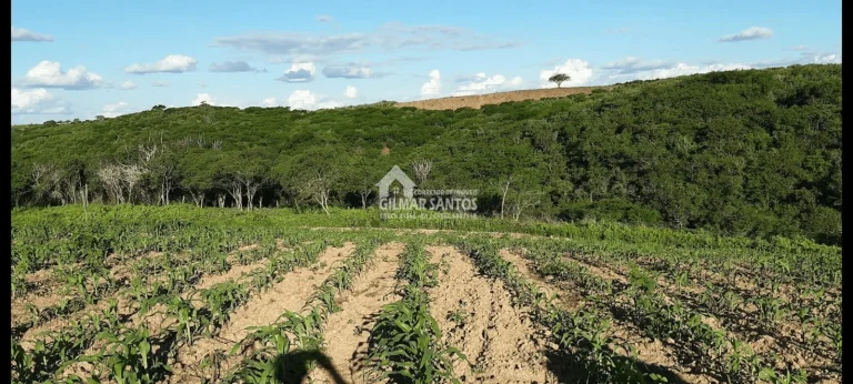 Lote/Terreno no bairro zona rural, em Sítio do Quinto