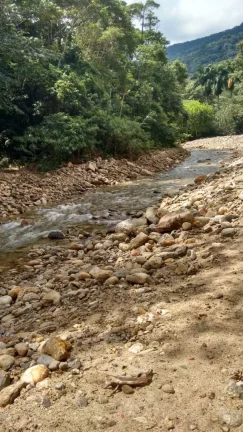 Imagem Terreno 30.000m² à Venda na Praia de Maresias - São Sebastião SP.