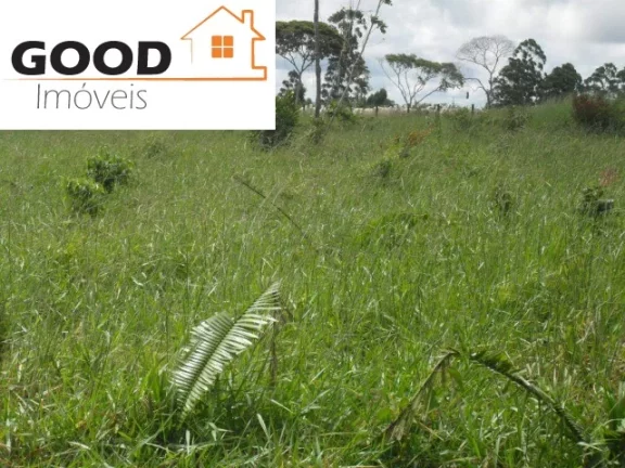 Imagem Fazenda RURAL em Silva Jardim - RJ, Silva Jardim