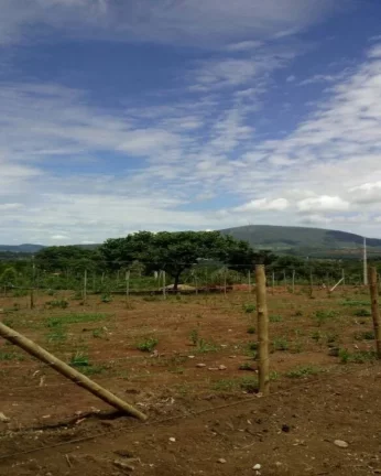 Imagem FINANCIAMENTO PRÓPRIO, SEM COMPROVAÇÃO DE RENDA.