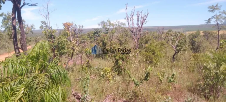 Imagem Chácara para Venda em Brasília, Setor Habitacional Jardim Botânico