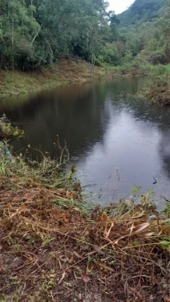 Imagem Sítio para Venda em Sete Barras, Rural