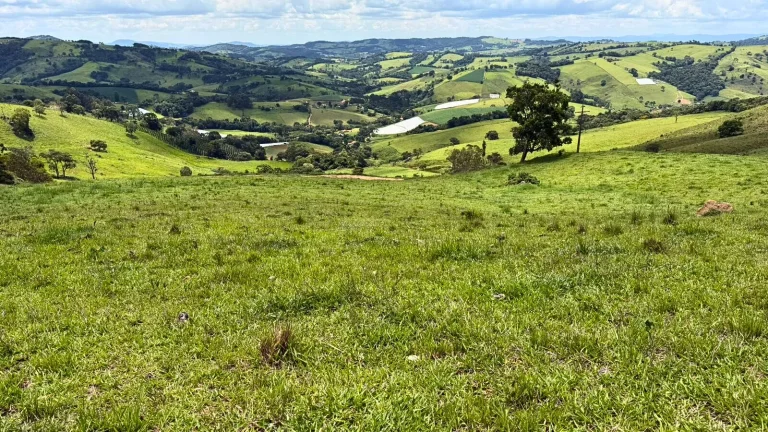 Imagem Área exclusiva com vista para a Mantiqueira