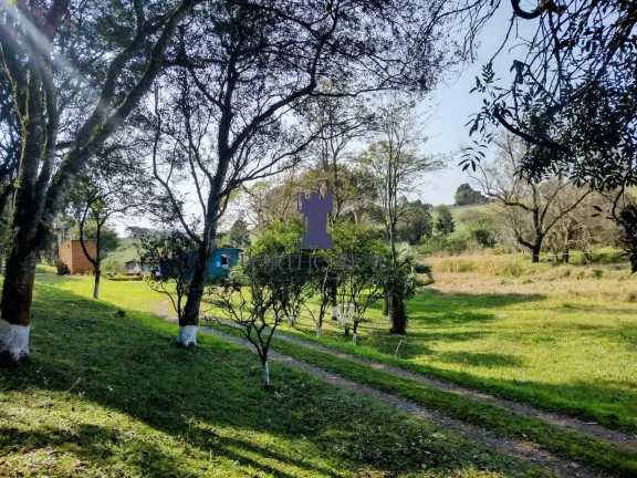 Imagem ÁREA EM BALSA NOVA COM 13.530,10M²