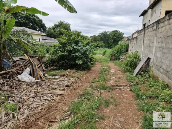 Imagem Área para Venda em Aparecida de Goiânia, Cidade Vera Cruz