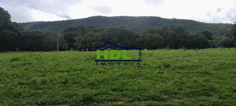 Imagem Fazenda 240 Alqs Dupla Aptidão em Peixe TO