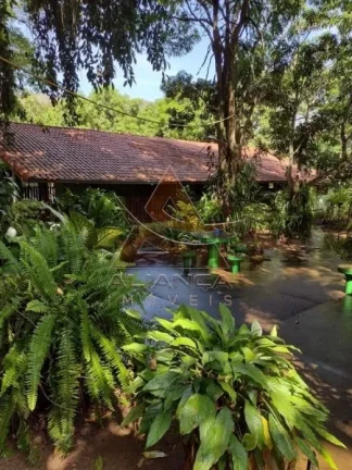 Imagem Sítio - Pedregulho - Zona Rural