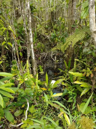 Imagem LOTE DE TERRENO PRAIA ITAMAMBUCA - UBATUBA