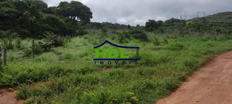 Imagem Fazenda 240 Alqs Dupla Aptidão em Peixe TO